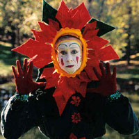 Pointsettia Mime
